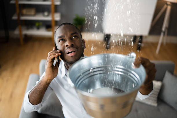 Best Commercial water damage restoration  in Red Lodge, MT