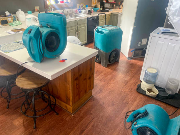 Best 24/7 water damage repair  in Red Lodge, MT