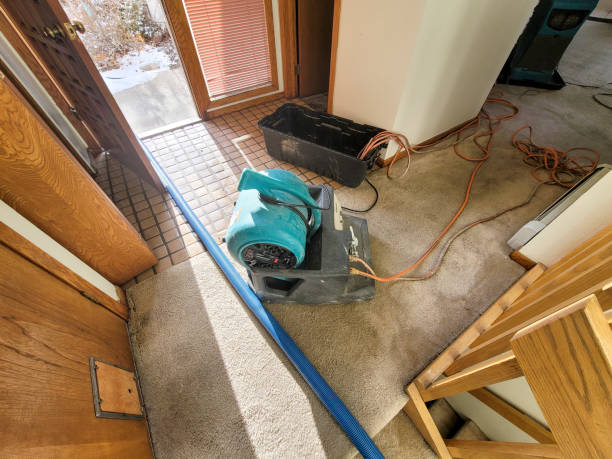 Best Carpet water damage restoration  in Red Lodge, MT