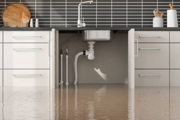 Best Mold removal after water damage  in Red Lodge, MT