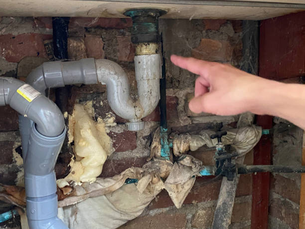 Best Flooded house restoration  in Red Lodge, MT