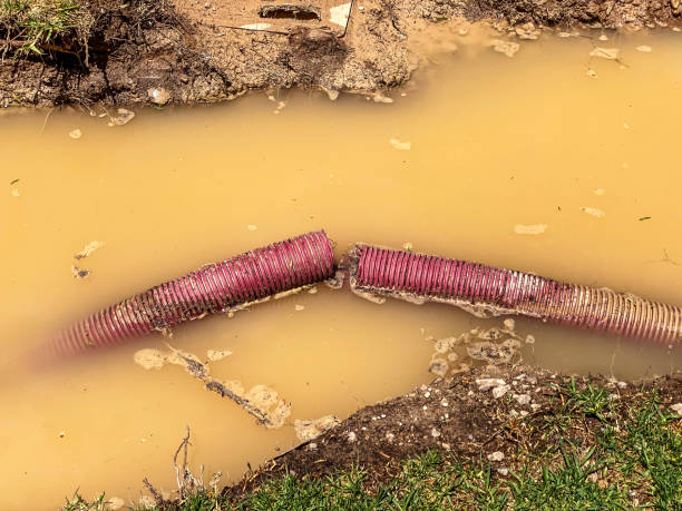 Best Professional water damage repair  in Red Lodge, MT