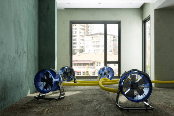 Best Ceiling water damage repair  in Red Lodge, MT
